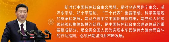 公开信息按发布时间滚动